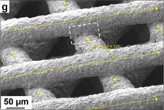 科學家開發出含75%石墨烯的3D打印油墨
