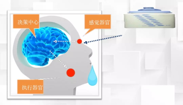 一節小學生也能聽懂的專業課：機器人和物聯網是怎么協同工作的？