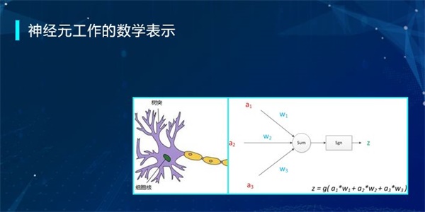“半斤八兩”為什么一樣多？用編程告訴你這里的玄機(jī)！ 